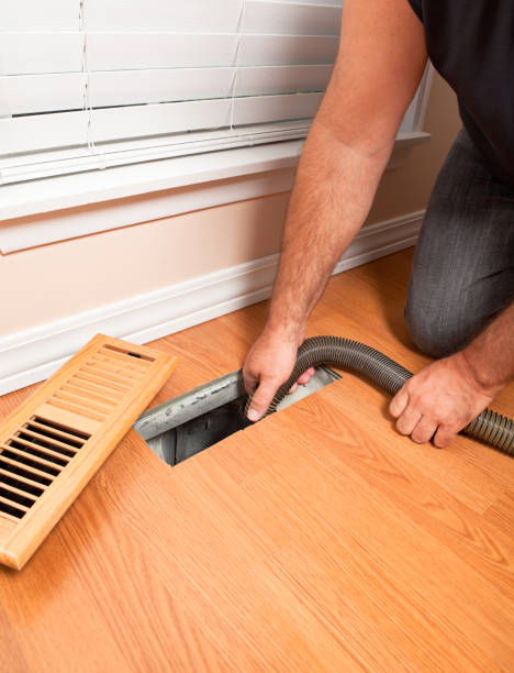 Best Affordable Air Duct Cleaning  in Delta Junction, AK